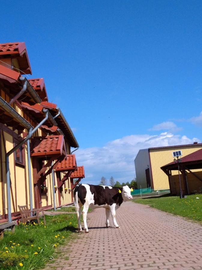 Pensjonat Przy Stajni Kierzkowo  Exterior photo